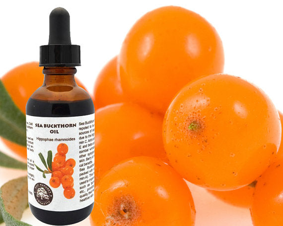 Sea Buckthorn Berry Oil – Antioxidant-Rich Skincare Powerhouse