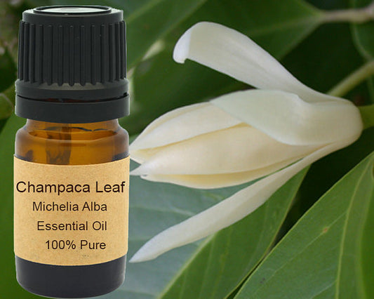 Champaca Leaf White Essential Oil | Uplifting & Grounding Aromatherapy